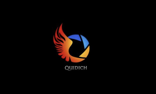 Quidich Innovation Labs logo